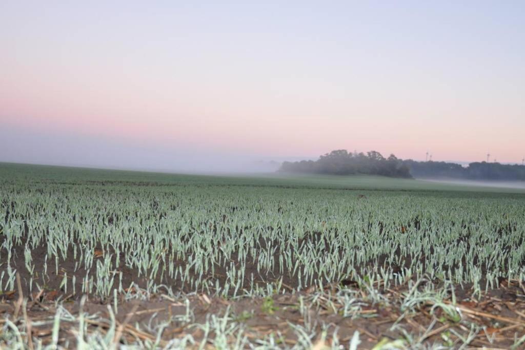Ferienhaus Woddow Uckermark ภายนอก รูปภาพ